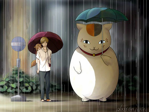 momon_gaw's profile picture. I work day to day in tropical island.