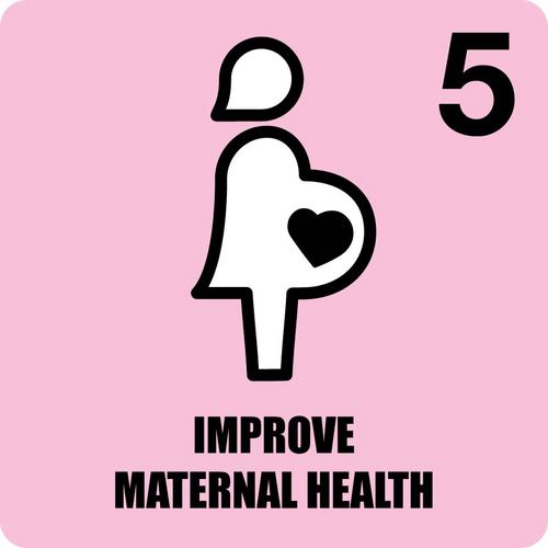 Atendiendo a la Quinta meta del Milenio que se refiere a: Reducir en tres cuartas partes, entre 1990 y 2015, la mortalidad materna.