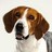 TheScentedHound's profile image