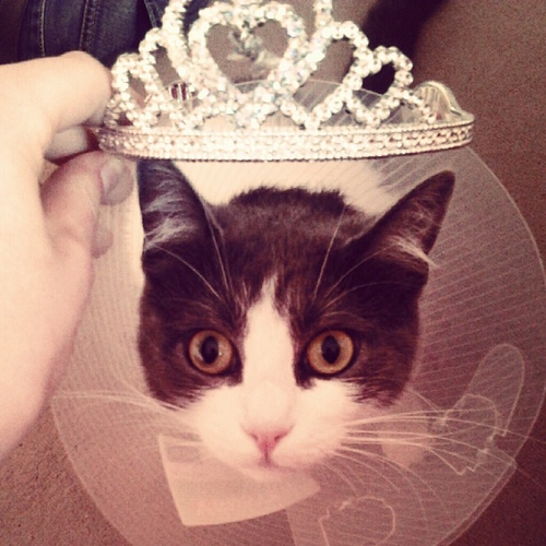 Wariongi's profile picture. Remplaçante en medecine génerale ... Merci, je me soigne!Queen of the chaussettes #LesRemplacantsCesBranleurs