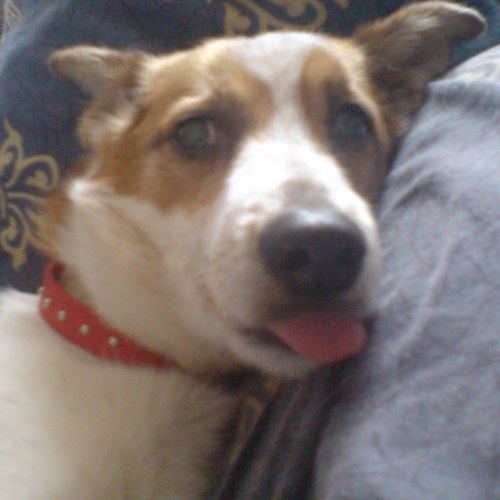 redtone6's profile picture. (Icon/Legend) Usually more of a reader than a Tweeter. I'm a Gamer, nerd, hard worker but an all round jolly geezer who loves a good laugh.