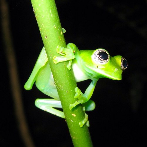 safemode154's profile picture. 