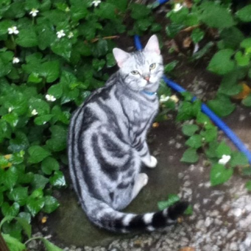 shinkayo's profile picture. なかなかゴルフは上達しませんな～☻ジャイアンツ頑張ろう! 去年からレブナイズにハマってます✌️