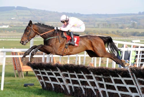 http://t.co/dYyt13kKC3 is a #horse #racing website offering race previews, reports, #betting #tips, betting offers and general racing banter! FREE BETS!!