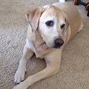 Tommy pratt - @Tommybpratt - Twitter