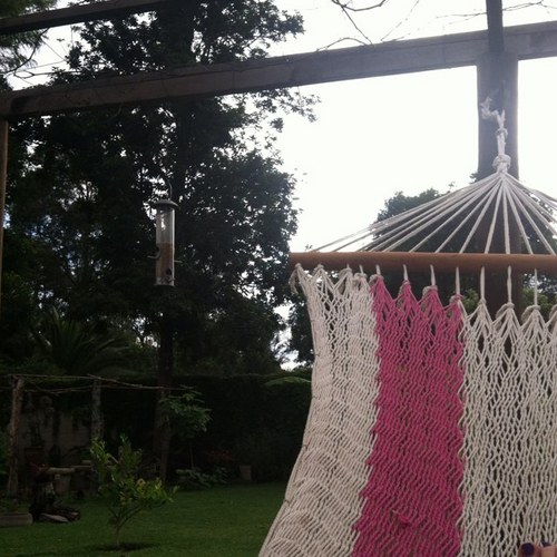 ShantiFO's profile picture. 