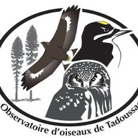 OOT (@oot_tadoussac) 's Twitter Profile