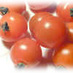 SENSE Nutritionists (@nutrition_sense) Twitter profile photo