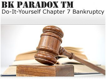 BK ParaDox offers Online Do It Yourself Bankruptcy for only $199