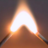 msichal's profile image