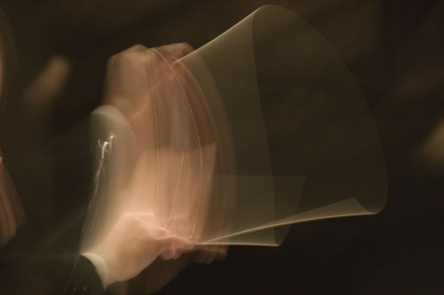 javiceiro's profile picture. 