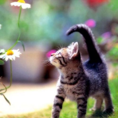 k1tasu's profile picture. 一見普通の女子大生だけど、中身はヲタク。☆相互フォロー大歓迎☆  #sougofollow #followmejp #followdaibosyu