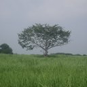 Alfredo Marroquin - @MarroquinAlfred - Twitter