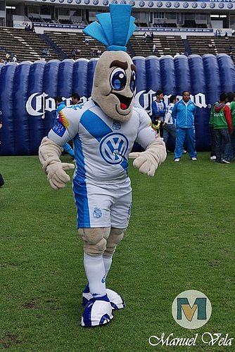 JosefoPipope's profile picture. 