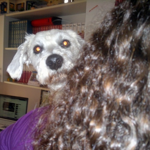 minakaponi's profile picture. #TeamFollowBack