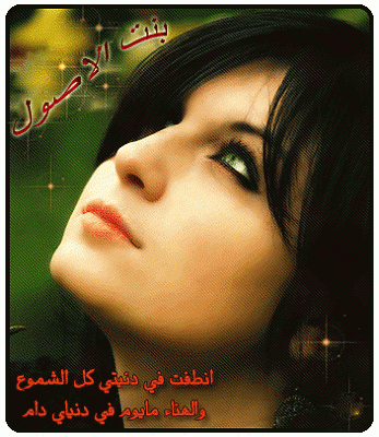 A12Meme's profile picture. 