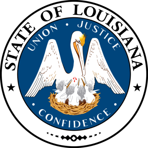 The LA Kids’ Dashboard is an effort of the Children’s Cabinet agencies & the LA Supreme Court, to bring renewed focus on the well-being of Louisiana’s children.