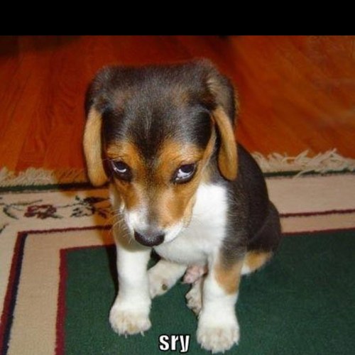 grappigegrap1's profile picture. Followen als je moppen wilt lezen ;)