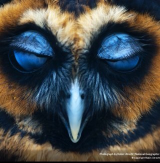 molloy_lynne's profile picture. 