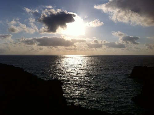 miketrix30's profile picture. Business fan / Sports freak/ speed Chess / news and more