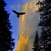 Gary Crabbe (@enlightphoto) Twitter profile photo Gary Crabbe (@enlightphoto) Twitter profile photo