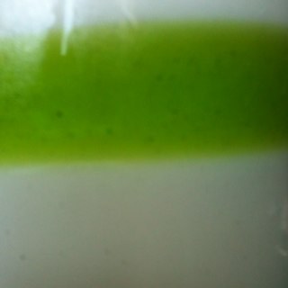 postonline1's profile picture. 