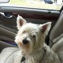 Bill Drury - @clogfree - Twitter