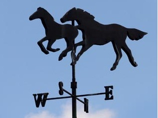 jaknzb's profile picture. Director of Operations at New Zealand Bloodstock - The Karaka Experience. Purveyors of Thoroughbred & Standardbred services