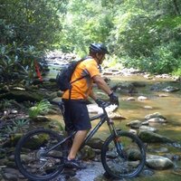 Emil Alexander (@emilalexander38) 's Twitter Profile