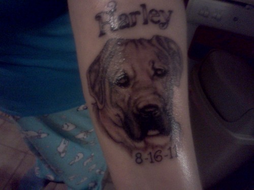 CJSpeta's profile picture. Love my animals, friends and family. Like to travel and explore.