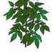 Top Aquaponics (@topaquaponics) Twitter profile photo Top Aquaponics (@topaquaponics) Twitter profile photo