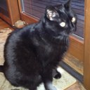 Pat Travis - @PatTravis - Twitter