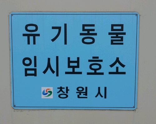 창원시유기견보호소 트위터계정입니다. 창원보호소 봉사대장 지구인 010-6365-1518  (창보후원계좌 356-0580-8463-93 농협, 창원길천사)