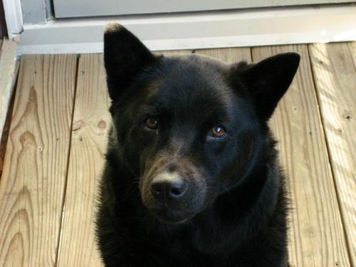 seankper's profile picture. 