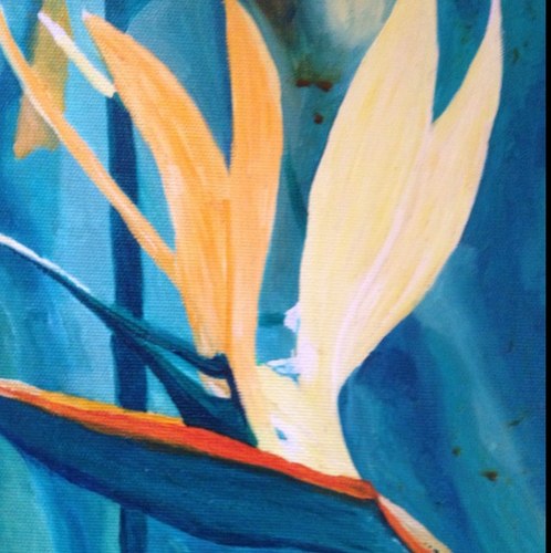 Catonaboat's profile picture. Elon Musk is a Nazi, prove me wrong. Leaving apartheid emerald mine nepo baby sissy spacex platform for @catonaboat.bsky.social