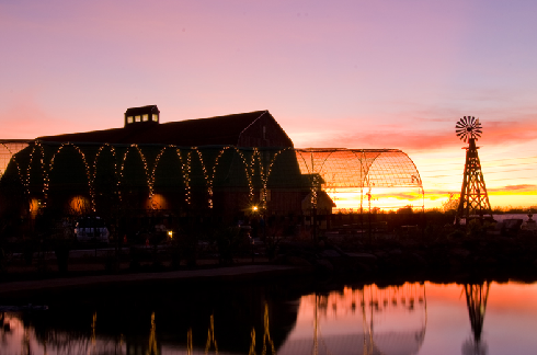 The Windmill offers one of the most unique special event settings in the Phoenix metropolitan area.