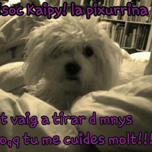 Informàtica & Seguretat
----------vinsentvega.wordpress.com----------