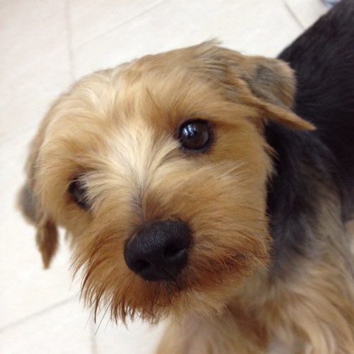 jose_mallari15's profile picture. 