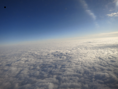 jameszlh's profile picture. 