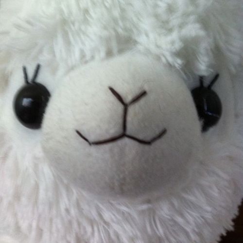 akixx77's profile picture. カラオケが好きです！