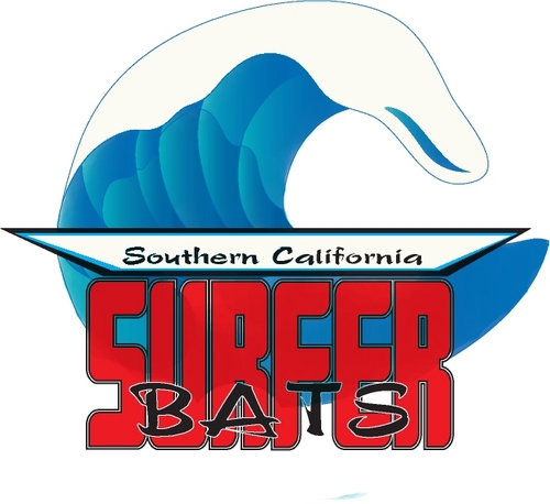 Radical Digital Comic Book Series- 1980's, Mutants, Venice Beach, Time Travel, Surfing, and MORE! Created by Ryan Shepard