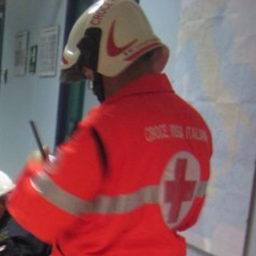 framagri's profile picture. 