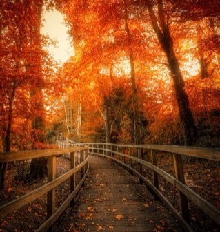 riveritemarie's profile picture. 