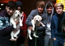 ONE 3 DIRECTION 3 3