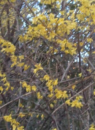 _9942846003642's profile picture. 