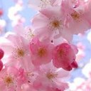 sasha mansfield - @sasha_nichole29 - Twitter