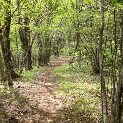 eisuketado's profile picture. 腰痛持ち、走るのは好き、サッカー、猫飼いたい