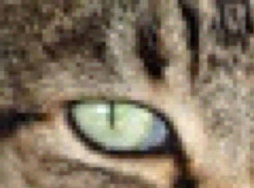 ryuwken's profile picture. 