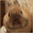 panafkrtog's profile image