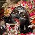 Mayapur.com (@iskconmayapur) Twitter profile photo Mayapur.com (@iskconmayapur) Twitter profile photo